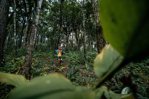 BIB: 
                            <button type="button" onclick="openModal(22791010)" class="btn btn-primary btn-sm float-right btn-popup" data-toggle="modal" data-target=".modal-high-quality">
                        <i class="fas fa-shopping-cart"></i> Add to Cart
                    </button>
                                            <button type="button" onclick="isThisMe(22791010, true)" class="btn btn-success btn-sm float-right btn-popup btn-isme hidden" data-toggle="tooltip" data-placement="bottom" title="นี่คือรูปของคุณใช่ไหม คลิกที่นี่เพื่อเอาเข้าอัลบั้ม">
                        <i class="fas fa-plus"></i> Add to album
                    </button>
                    <button type="button" onclick="isThisMe(22791010, false)" class="btn btn-warning btn-sm float-right btn-popup btn-isnotme hidden">
                        <i class="fas fa-ban"></i> Remove from album
                    </button>